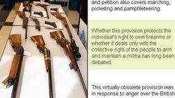 >Does the Second Amendment guarantee an individual right to own guns? The Supreme Court has ruled that it does, but you might be confused if you visit the official Senate web page on the Constitution.