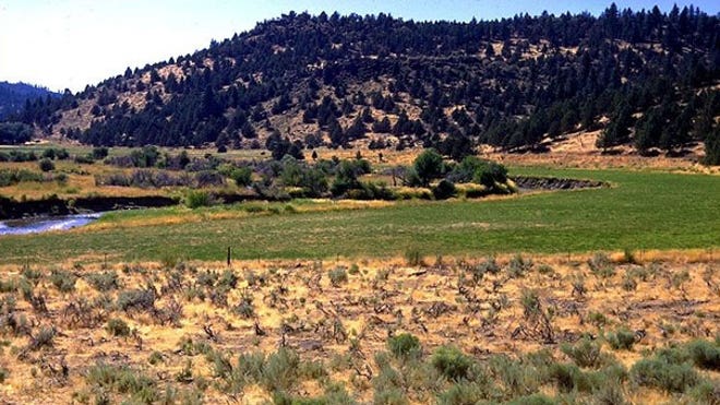 Modoc Plateau