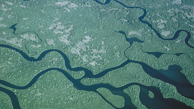 Florida Everglades