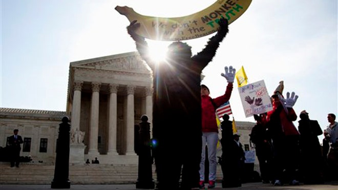 court_protest_032812.jpg
