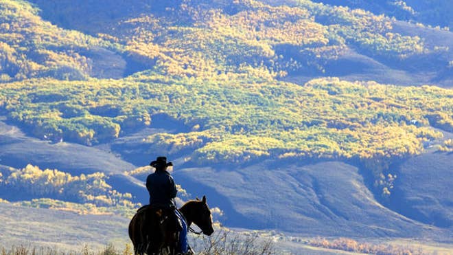cowboy