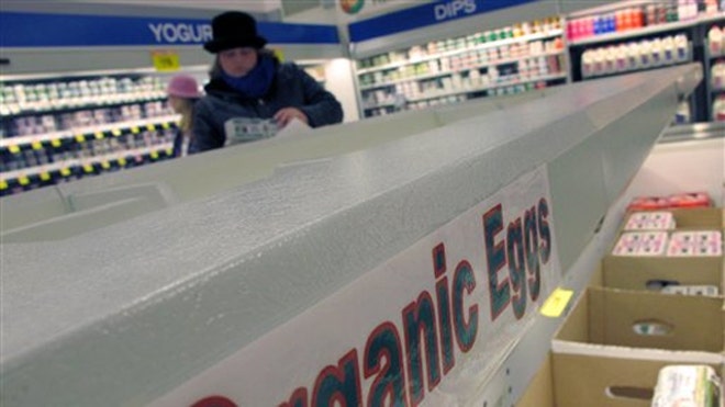 eggs_organic_120610.jpg