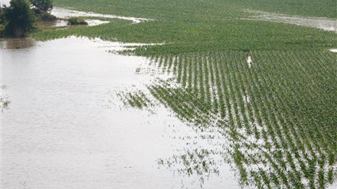 farm_yazoo_050911.jpg