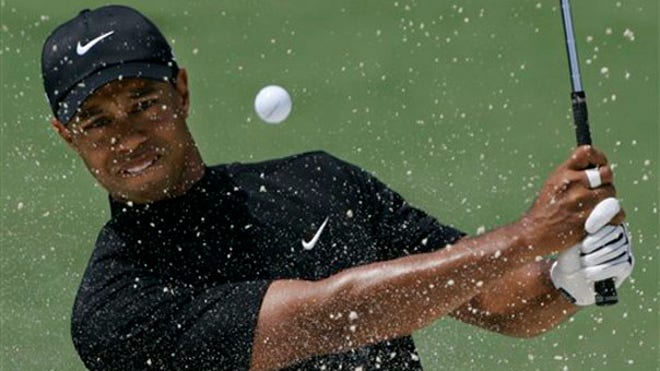 woods_tiger_041108.jpg