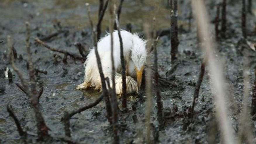 052410_oilspill2