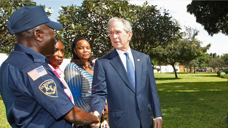 Bush_Africa.jpg