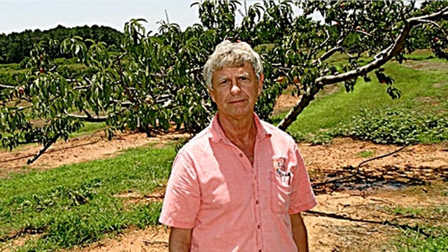 LaPeaches_660.jpg