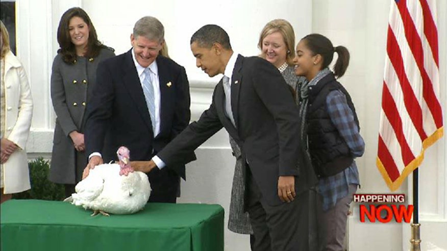 President Obama and a turkey named Courage