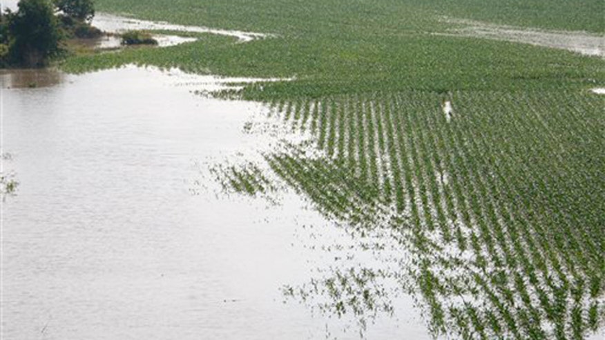 farm_yazoo_050911.jpg
