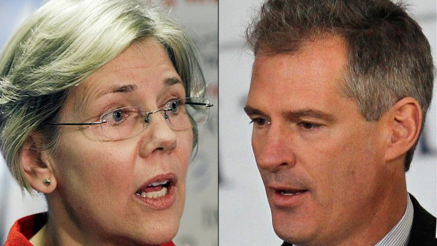 warren_brownsplit.jpg