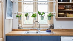 As temperatures drop and leaves fall from the trees, adding greenery inside can help ease the winter blues. Here are eight places where container plants can bring style and good cheer to your home.