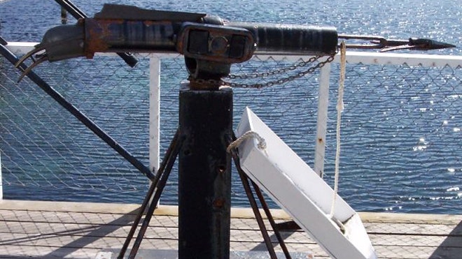 Whaling_harpoon.jpg