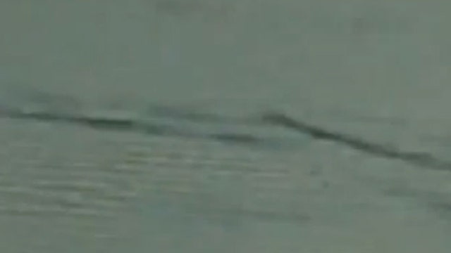 Canadian Nessie
