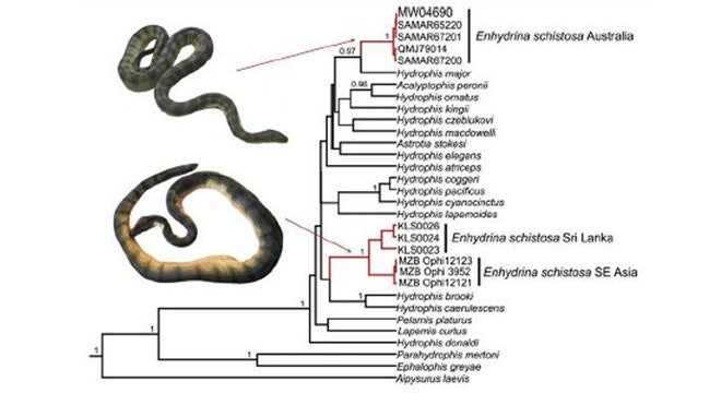 snake-tree-of-life.JPG