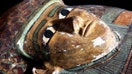 From ancient tombs to newly discovered graves, from underwear of the Middle Ages to ancient Chinese warriors, by learning more about the past we learn more about ourselves.