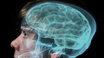 Online cognitive exercises -- or brain training -- are finding a particularly receptive audience these days. I've tried two of them, and found both to be engaging.