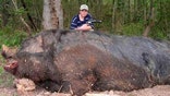 Meet the world's biggest critters -- a surprisingly diverse array of the largest beasts on land and beneath the seas.From apes to spiders to really huge birds, we grow 'em big here on Earth.