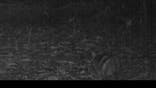 An elusive striped rabbit that has rarely been photographed has been caught on film deep in the forests of Sumatra, thanks to camera traps set up in an isolated mountain region of the Indonesian island.