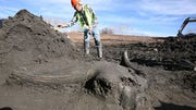 The ground-breaking discoveries continue in Denver, where a newfound burial ground has yielded almost  bones, as well as complete skeletons of ice-age mastodons, bison and mammoths.