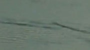 Ogopogo, the world's second best-known lake monster after Scotland's Nessie, has been captured on a grainy cell phone video, according to one eyewitness.