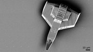 In the midst of the D printers making weapons and ammunition hullabaloo, a new version has been introduced that can create a weapon smaller than a grain of sand.