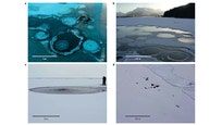 Cows are a red herring. The most dangerous potential source for methane release lies underneath thinning permafrost and glaciers in the Arctic. Ecologists have just mapped the seeps where methane is bubbling up, and they found more than , of them.
