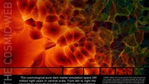 Science and engineering's most powerful statements are not made from words alone: the National Science Foundation (NSF) along with the journal Science last week announced the winners of the ninth annual International Science  Engineering Visualization Challenge