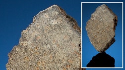 A little piece of Mars fell into the Sahara Desert last year, and now it can be yours for the low, low price of about $,, part of an auction of nature and science artifacts from Heritage Auctions.