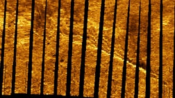 A sonar anomaly that researchers suspect might possibly be the wreckage of Amelia Earhart's aircraft is a straight, unbroken feature uncannily consistent with the fuselage of a Lockheed Electra, new analysis of the sonar imagery captured off a remote Pacific island has revealed.