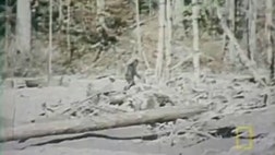 Despite decades of hunting, there’s little scientific evidence to support belief in the legend of Bigfoot. Facebook/FindBigfoot aims to change that. Founded in , it’s the first social network dedicated to collecting, curating and analyzing Bigfoot photos and videos.