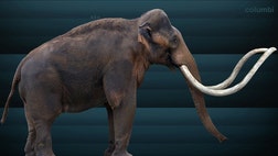 Advancements in science have made it possible to bring animals back from the dead, but one scientist recently argued that it might not be morally right to do so.