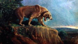 It's called de-extinction, the act of bringing an extinct animal back to life by reassembling its genome and injecting it into embryonic cells. After that, it's the simple matter of finding a surrogate. Last week, scientists met to discuss which animals should be up for consideration. We've highlighted  of their  final choices.
