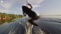 Since Google Maps launched in , all sorts of hilarious moments have been caught on camera. Here are the top  best animal photobombs.