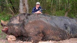 Meet the world's biggest critters -- a surprisingly diverse array of the largest beasts on land and beneath the seas.From apes to spiders to really huge birds, we grow 'em big here on Earth.