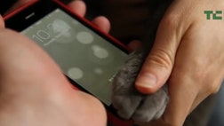 >Cats have fingerprints just like humans, and one blogger found he could register the paw of a colleague’s cat on a 5s -- letting the feline repeatedly unlock the phone using that paw, but not the other paw. 