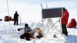 When the world shakes, so does Antarctica's ice, according to a study presented here April  at the Seismological Society of America's annual meeting.