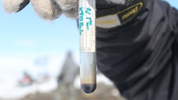 The frozen body of a , to , year old mammoth found on a remote island in the Arctic Ocean has yielded a stunning find: blood so well preserved that it flowed freely from the ancient mammal, according to Russian scientists.