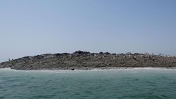 A new island that popped up off the coast of Pakistan following a deadly, .-magnitude quake on Tuesday has been belching poisonous gas and killing fish.