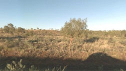 A new language, one that combines elements of English with traditional indigenous speech, has been discovered in northern Australia, according to a new study.