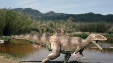 If you've ever searched for dinos on the Internet, chances are, you've come across the drawings of Nobu Tamura. What began as a hobby in , when he realized most dinosaurs on Wikipedia had no photos due to copyright, Tamura is now one of the most prolific producers of up-to-date paleo critters on the web. He's shared with us his  favorite. For his complete works, check out his blog.
