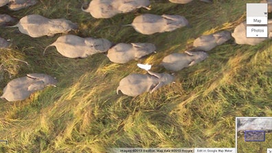 Google made headlines by adding data from North Korea to its mapping program. But that's not hardly the strangest thing on Google Maps. From a trip inside a Turkish bath to an elephant stampede, here's the best from the wide world of maps.