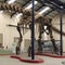 Largest dino of all time is digitally recreated