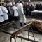 Danish zoo says no plans to kill healthy giraffe