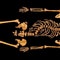 Researchers say Richard III dined on exotic birds, drank heavily