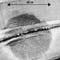 Massive submerged structure stumps Israeli archaeologists