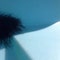 Fluff ball? Clump of spiders?
