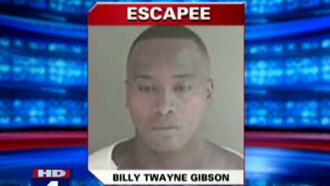 083110_gibson
