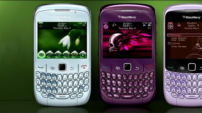 Blackberries