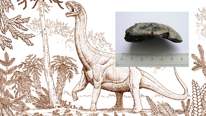 Dinosaur Fever temperature