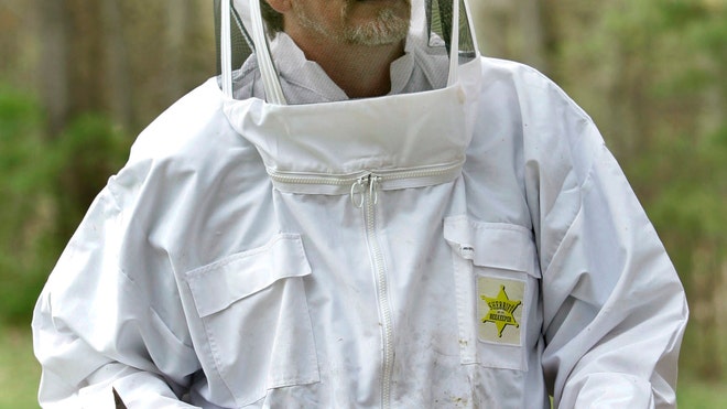 Disappearing Bees 2013 2.jpg